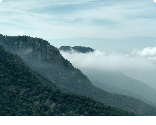 Yercaud Hills
